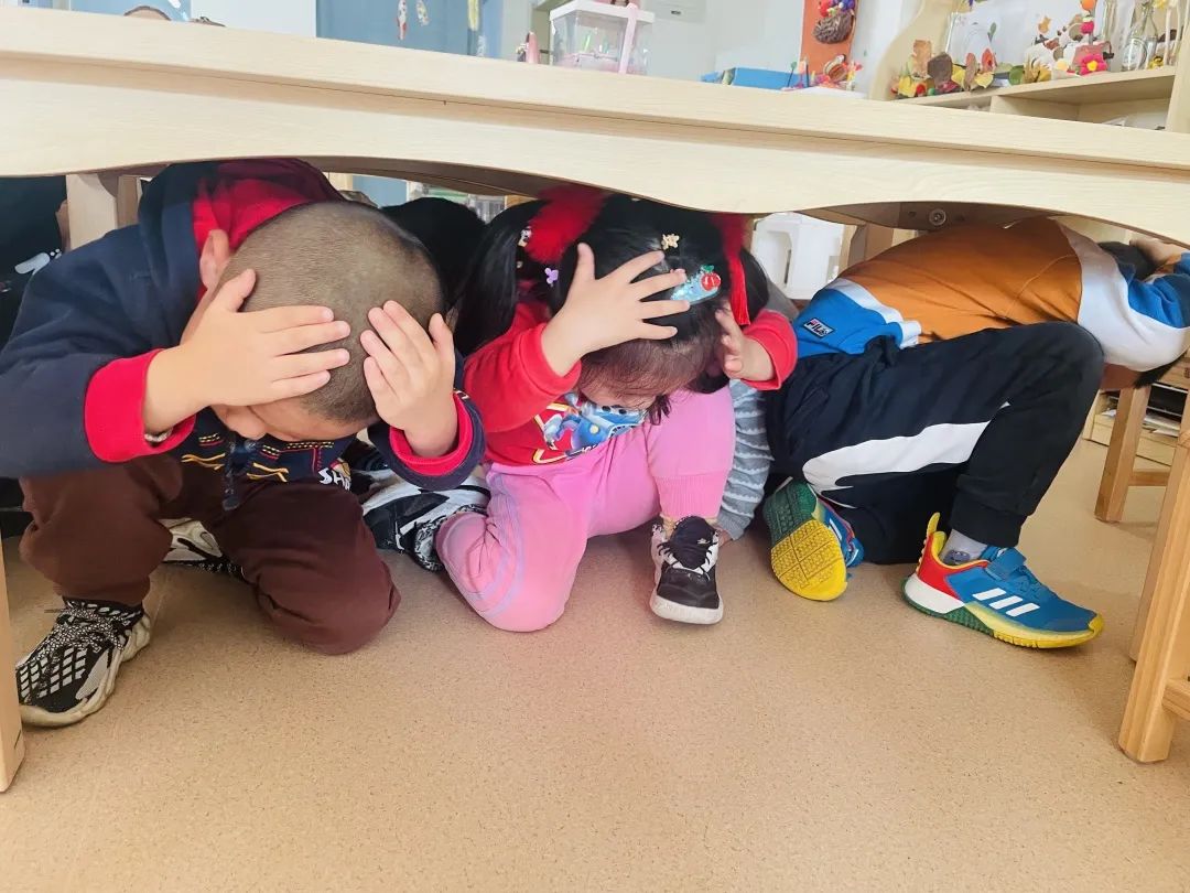 1668500011311505.jpg 1668500011311505.jpg