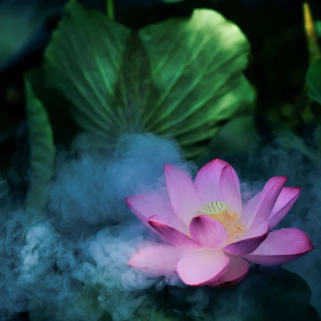 1672006576267690.jpg 1672006576267690.jpg